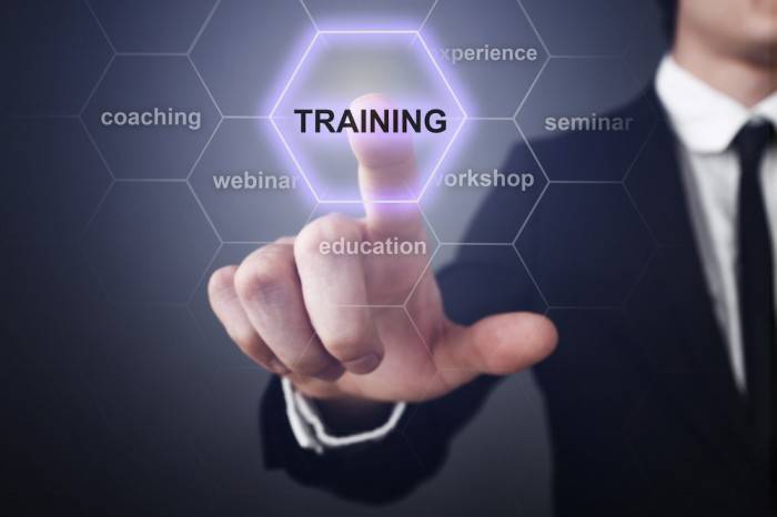 Odoo Professional Training