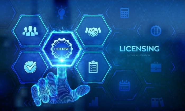Odoo Licensing Options Consultation