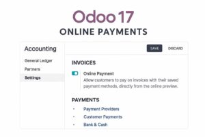 odoo17 payment settings compressed